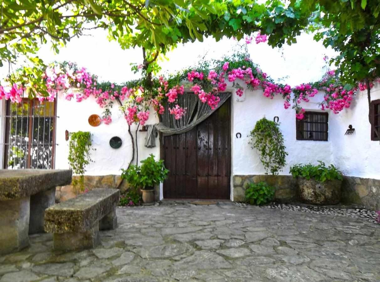 알칼라 라 레알 Cortijo La Gineta 게스트하우스 외부 사진